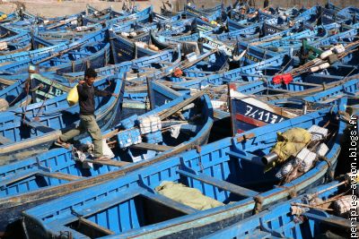 Les bateaux de pêche d'Essaouira