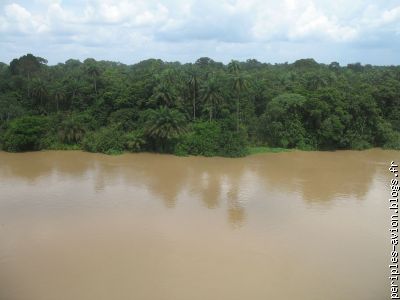 La forêt équatoriale