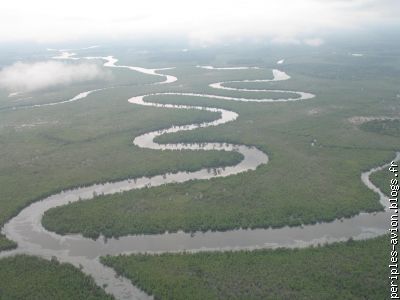 La mangrove polluée par les hydrocarbures